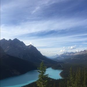 Meet your Posher, Reilly